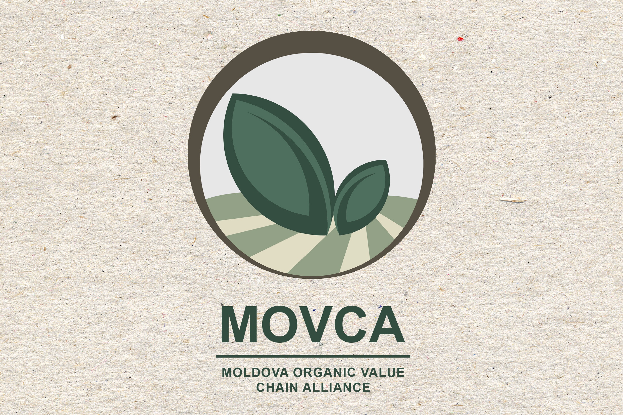 Noul catalog MOVCA