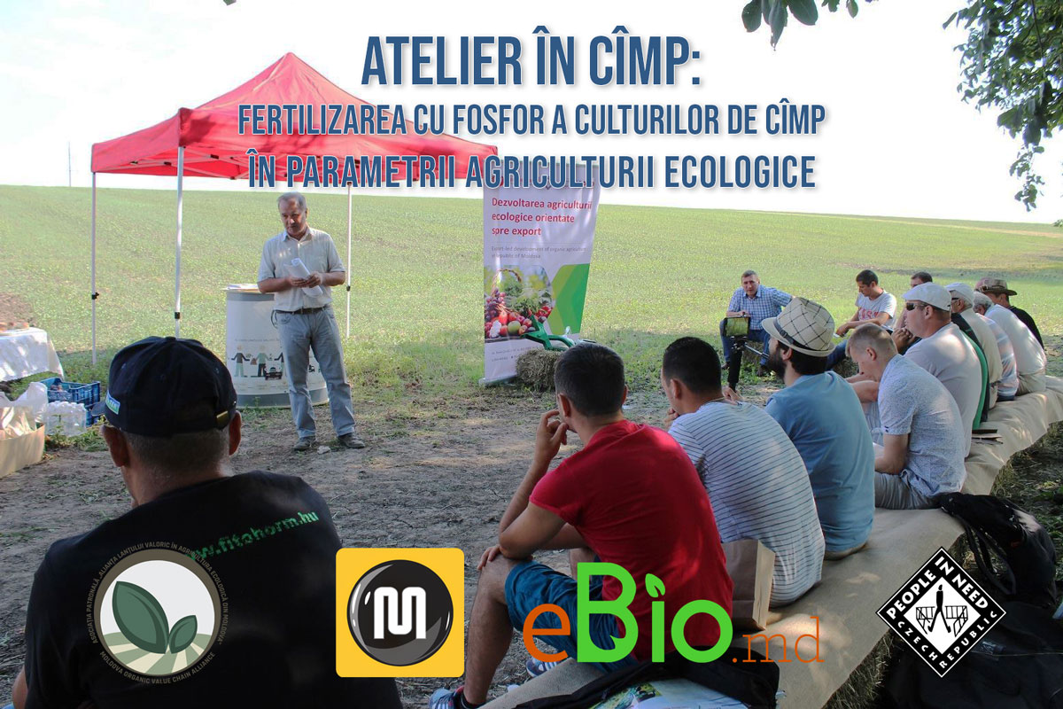 Atelier la Olișcani