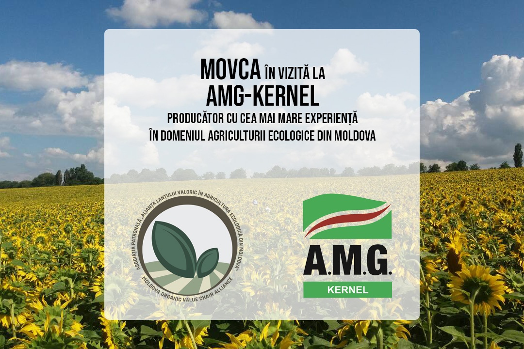 Vizită la AMG-Kernel