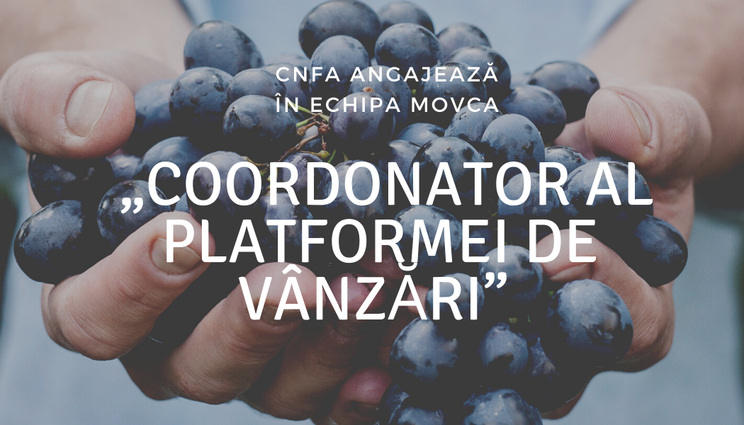 CNFA angajează „Coordonator al platformei de vânzări” în echipa MOVCA