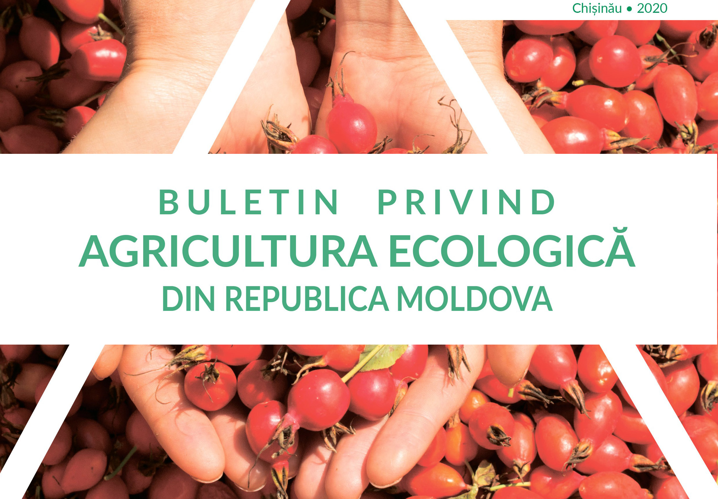 Agricultura ecologică se extinde prin prisma avantajelor legate de profit şi durabilitate