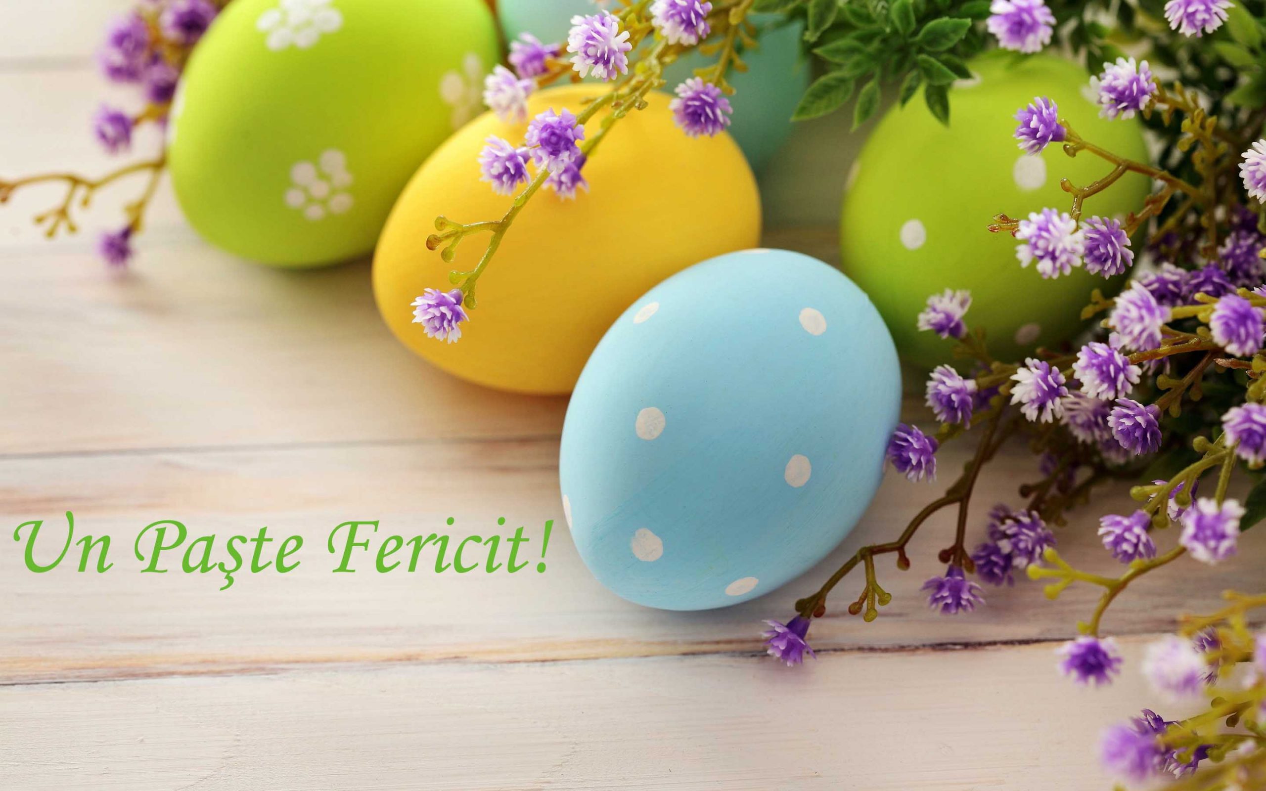 Felicitare cu ocazia sărbătorilor pascale
