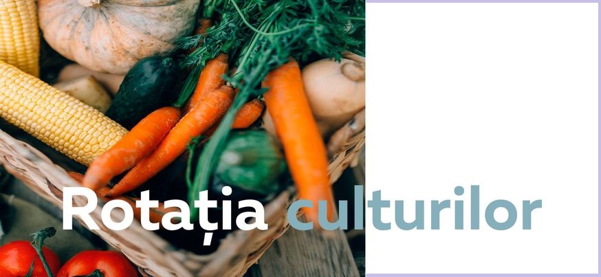 Recomandări privind rotaţia culturilor pentru creşterea rentabilităţii în agricultură