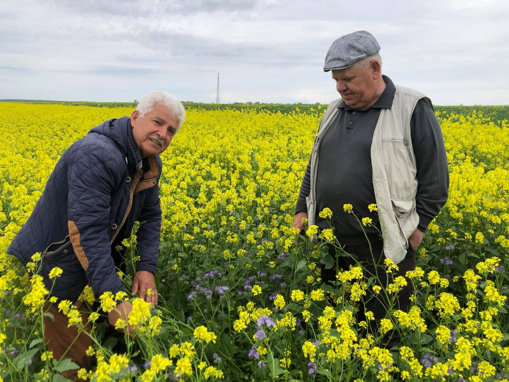 Seminar privind organizarea, gestionarea şi utilizarea platformelor de compost