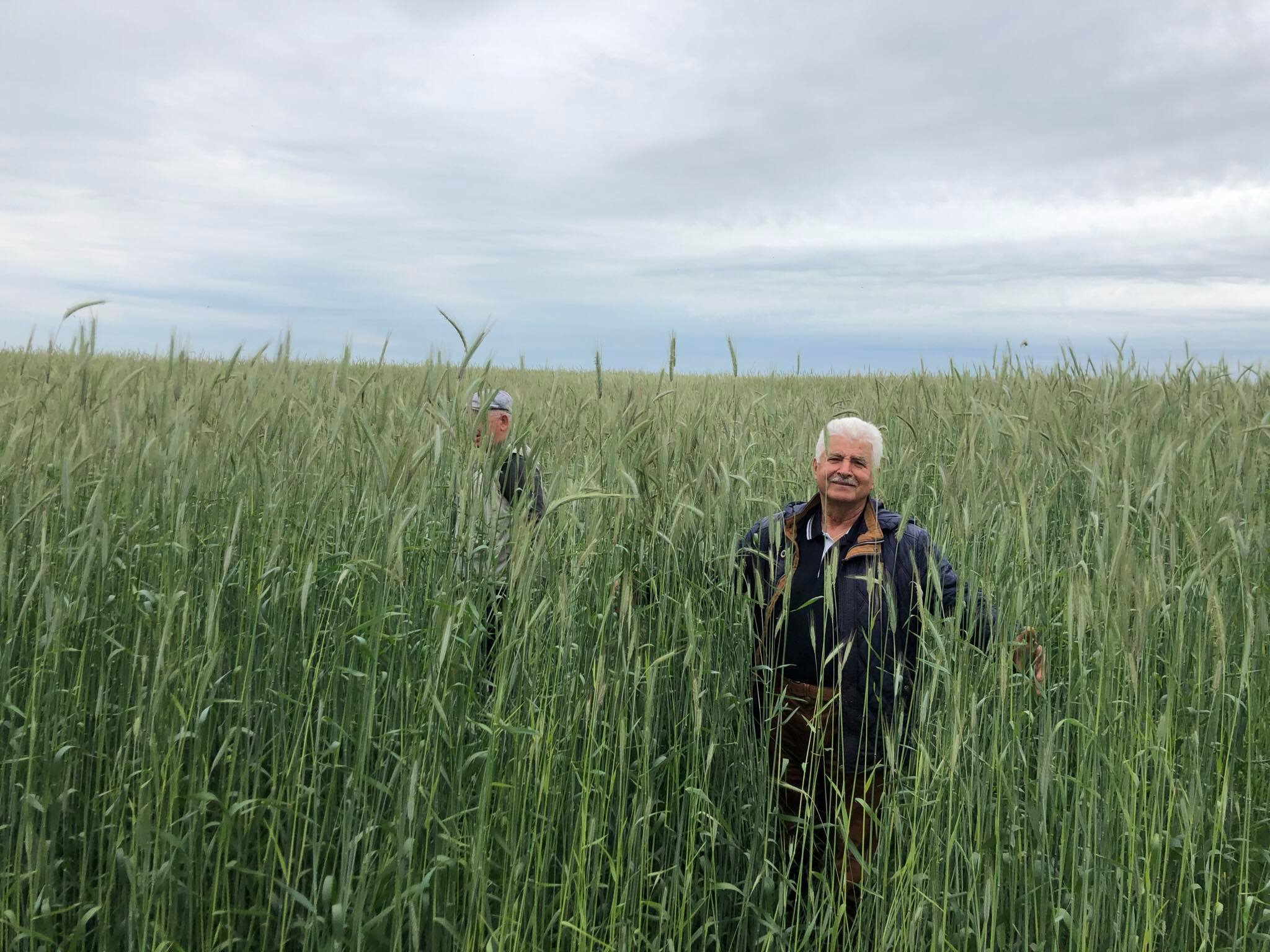 Consultanţă agricolă gratuită pentru producătorii ecologici moldoveni