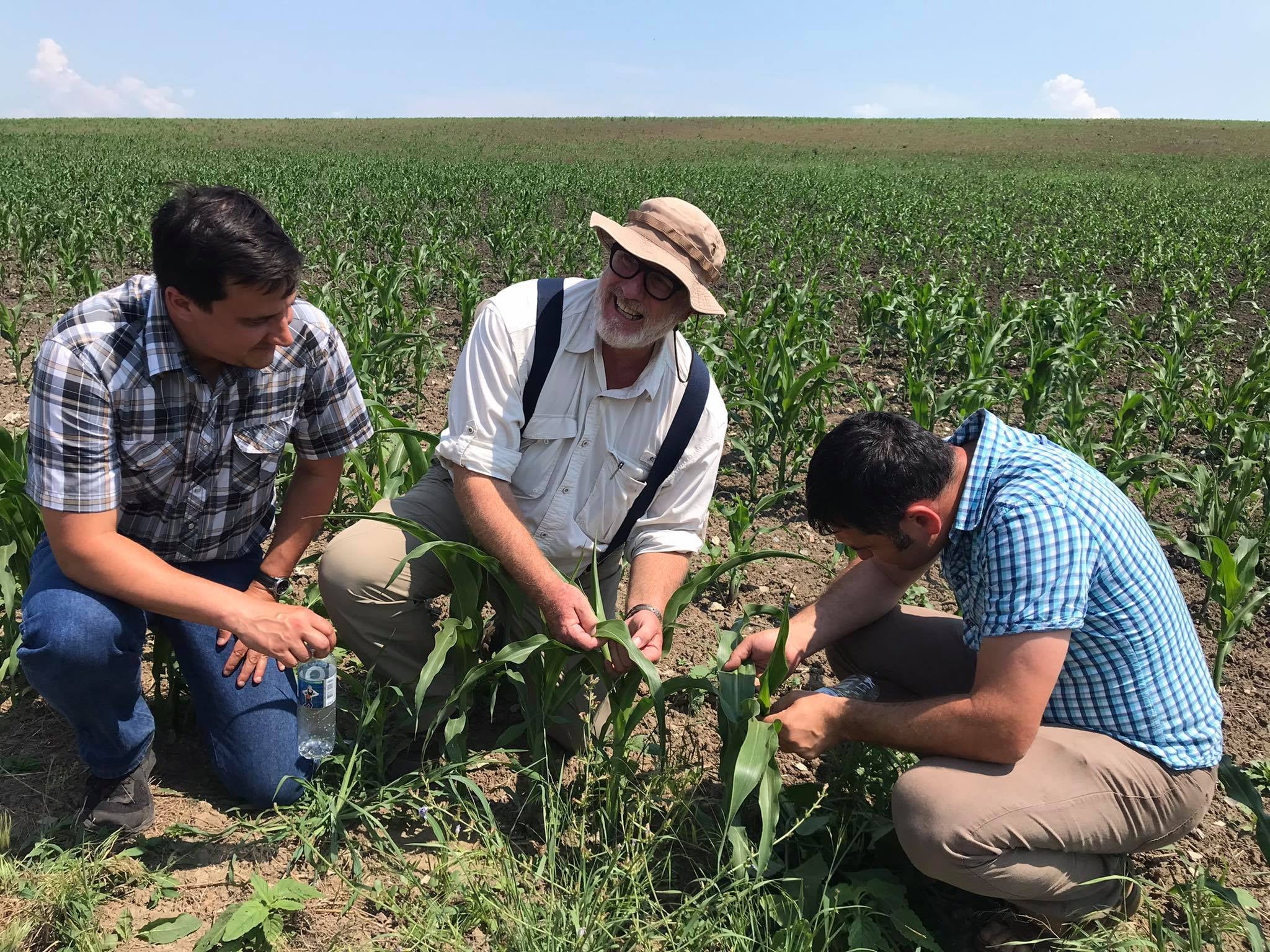 Un expert american le dezvăluie fermierilor moldoveni beneficiile îngrăşămintelor verzi