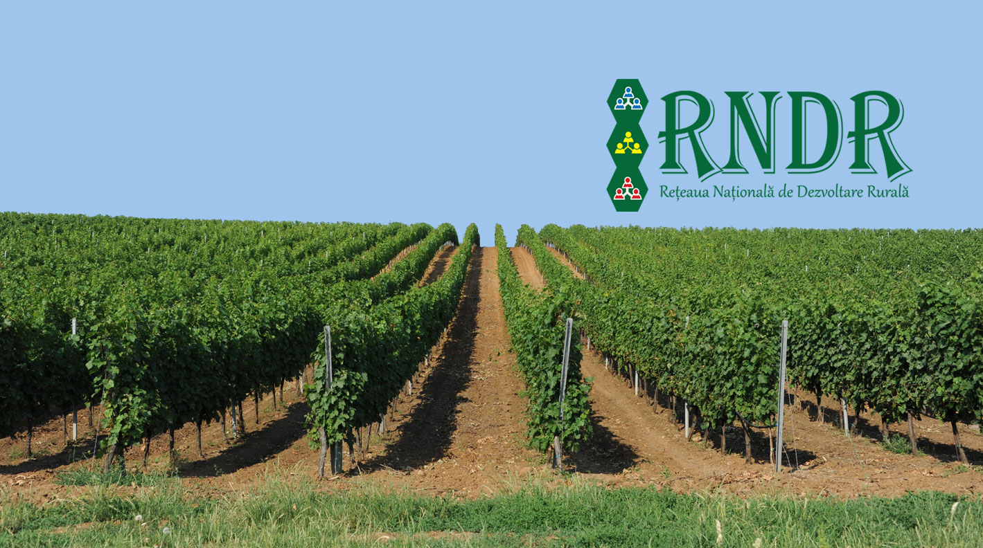 MOVCA a aderat la Rețeaua Naţională de Dezvoltare a Comunităților Rurale din Moldova