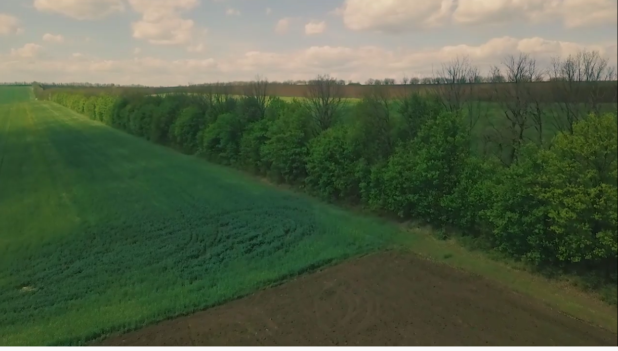 Recomandări privind crearea fâşiilor forestiere de protecţie