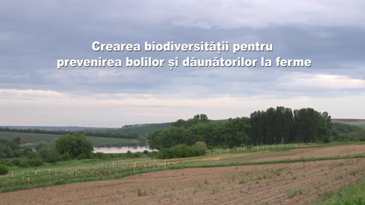 Recomandări privind crearea biodiversităţii în gospodăriile agricole