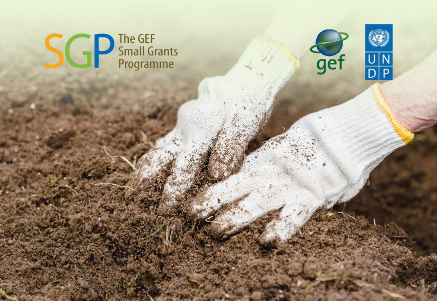 Ghid privind utilizarea fertilizanților în agricultura ecologică