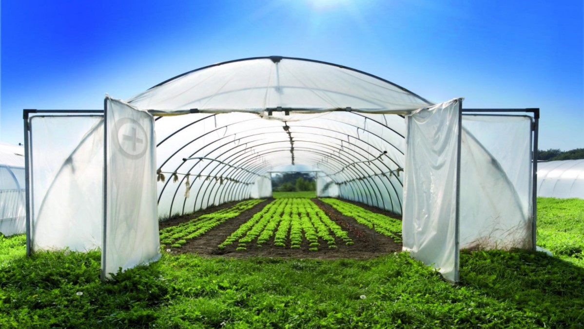 Guvernul a extins accesul producătorilor agricoli, inclusiv ecologici, la subvenții