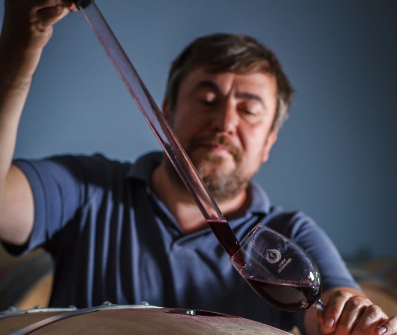 Constantin STRATAN: Grație unui parteneriat stabilit la Biofach, în iunie am putea exporta în premieră vin ecologic