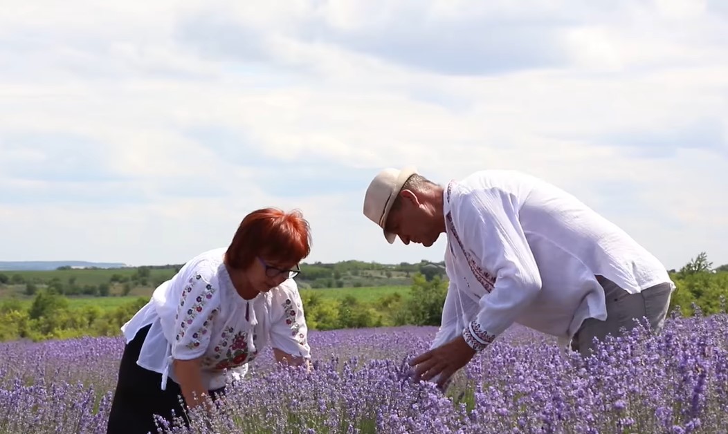 Un festival dedicat lavandei a fost organizat la Cernoleuca, Dondușeni
