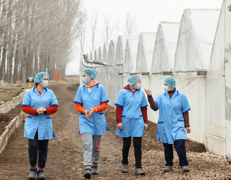 Proiect de integrare în câmpul muncii a refugiaților ucraineni, lansat în Republica Moldova