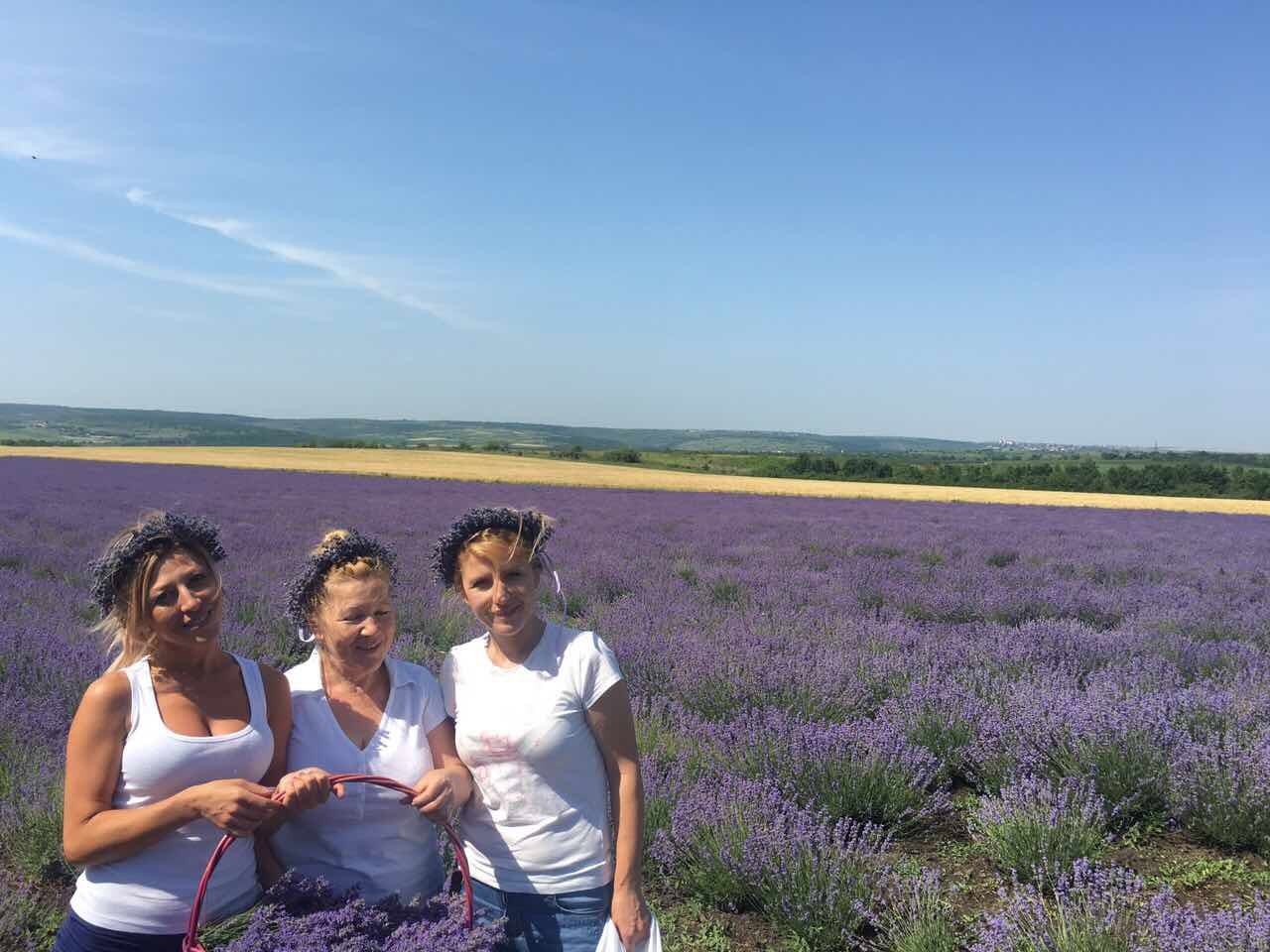 Un producător de lavandă ecologică a devenit membru al Asociației MOVCA