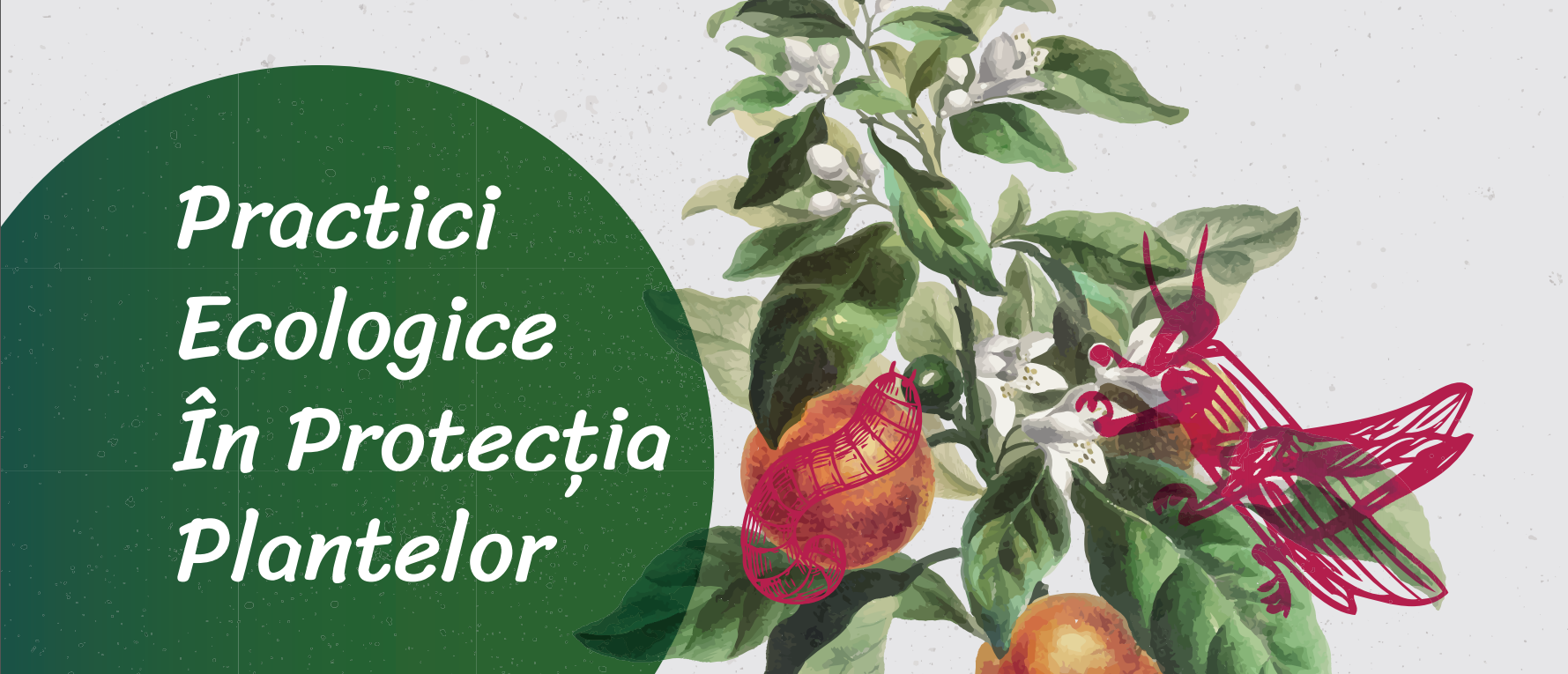 Ghid de buzunar privind practicile ecologice de protecție a plantelor