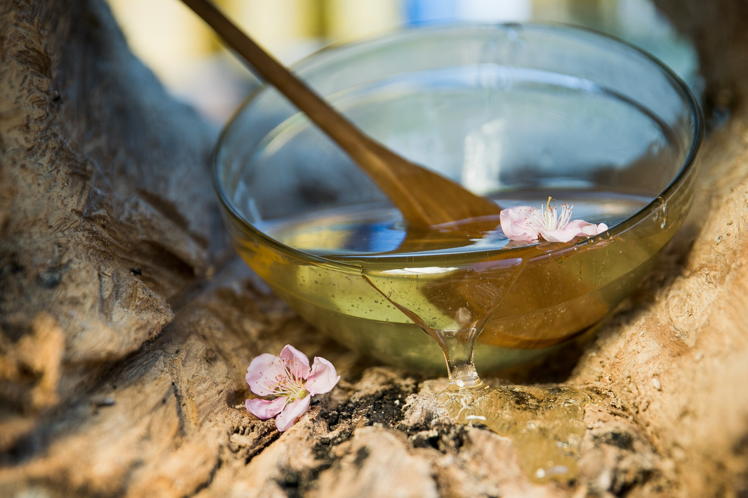 USAID sprijină agricultura ecologică