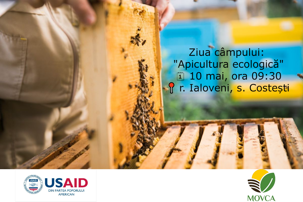 Asociația MOVCA și Proiectul Competitivitate și Reziliență Rurală în Moldova invită toți apicultorii la ziua câmpului dedicată practicilor ecologice în apicultură.
