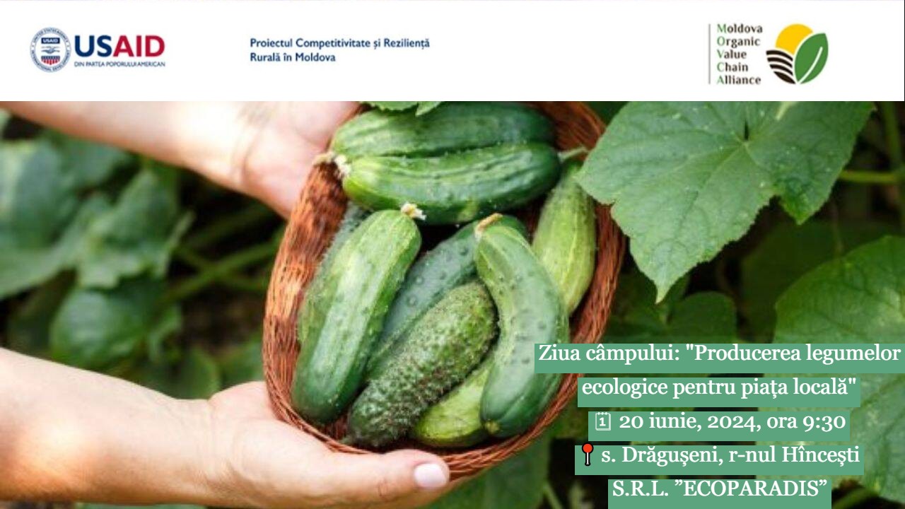 Asociația MOVCA și Proiectul Competitivitate și Reziliență Rurală în Moldova vă invită la ziua câmpului dedicată producerii legumelor ecologice pentru piața locală