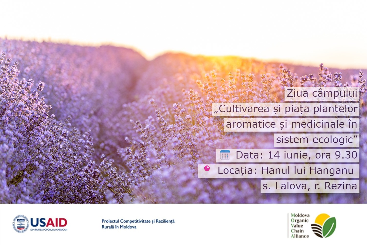 Asociația MOVCA și Proiectul Competitivitate și Reziliență Rurală în Moldova vă invită la ziua câmpului dedicată cultivării și pieței plantelor aromatice și medicinale în sistem ecologic